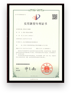 Elastic pressure switching device Elastic pressure switching device